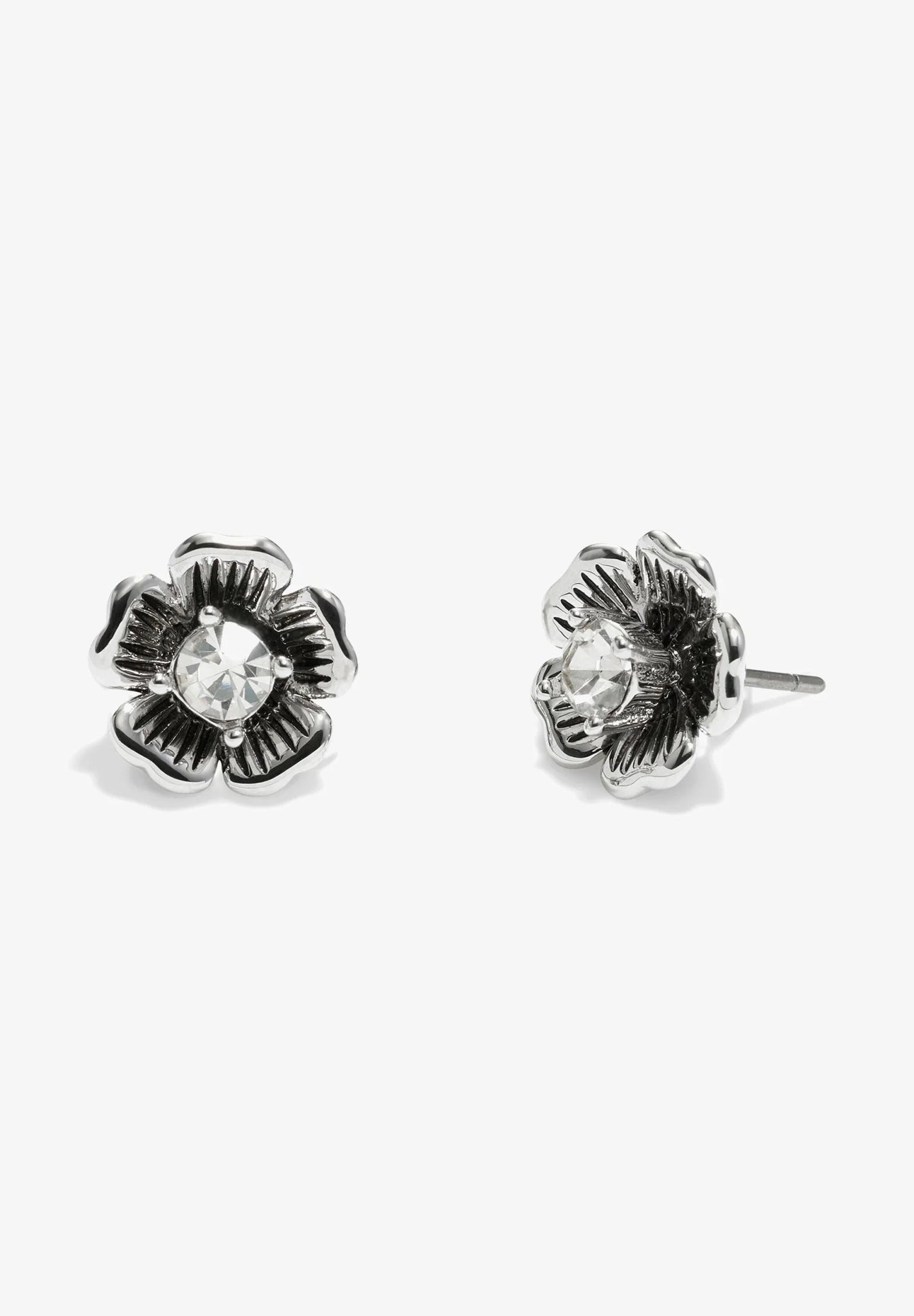 Coach Signature Tea Rose Stud Earrings, Rhodium - William George