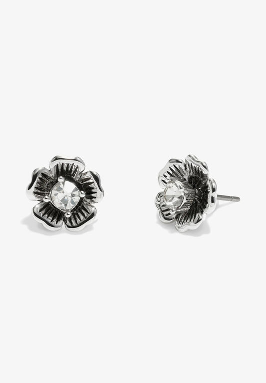 Coach Signature Tea Rose Stud Earrings, Rhodium - William George