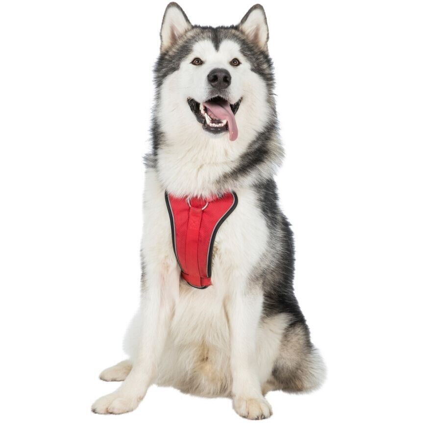 Trespaws (Trespass) Dog Harness Reflective Binding Side Release Buckles Tanked - William George